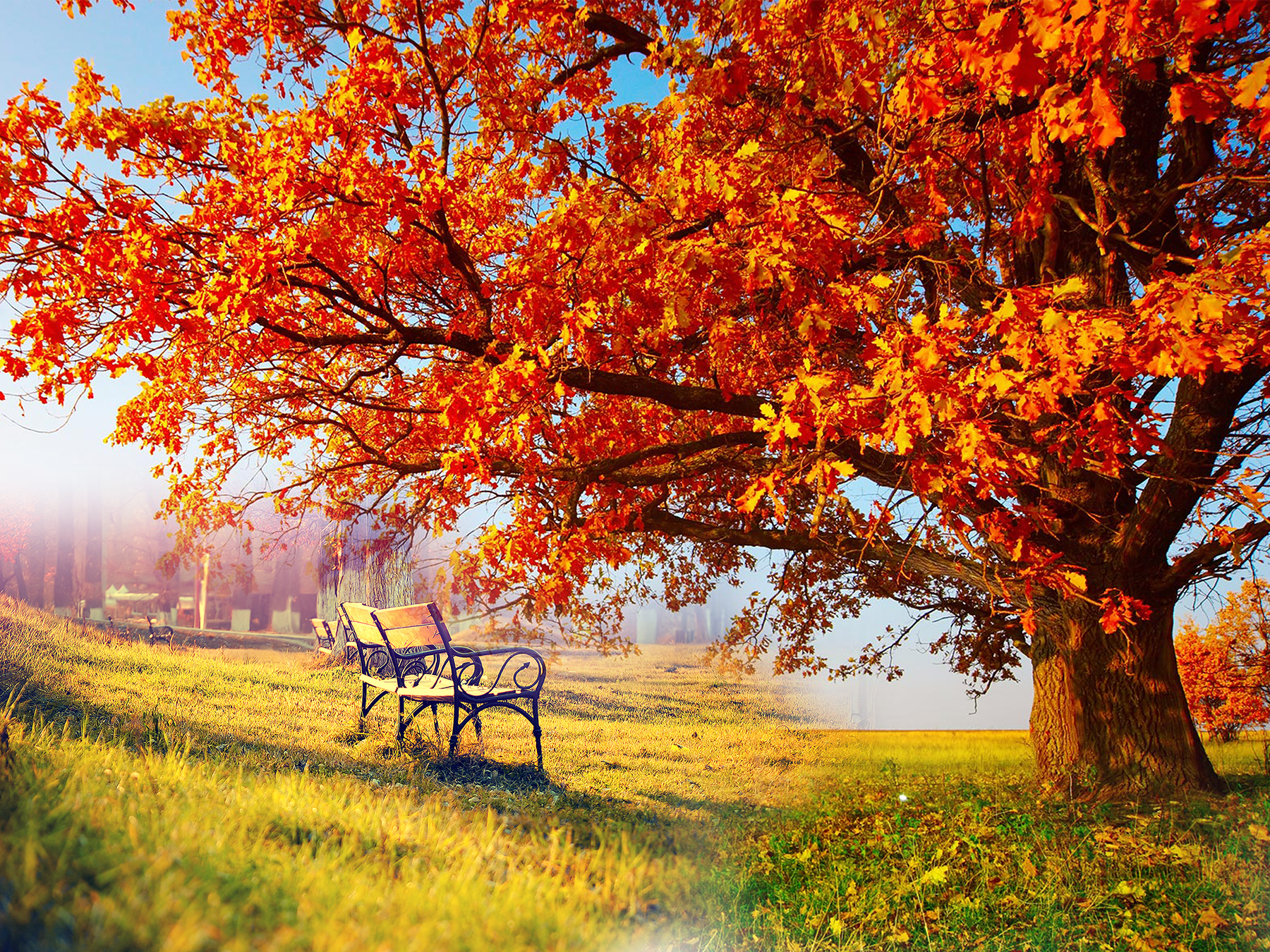 Autumn Nature Desktop Wallpapers