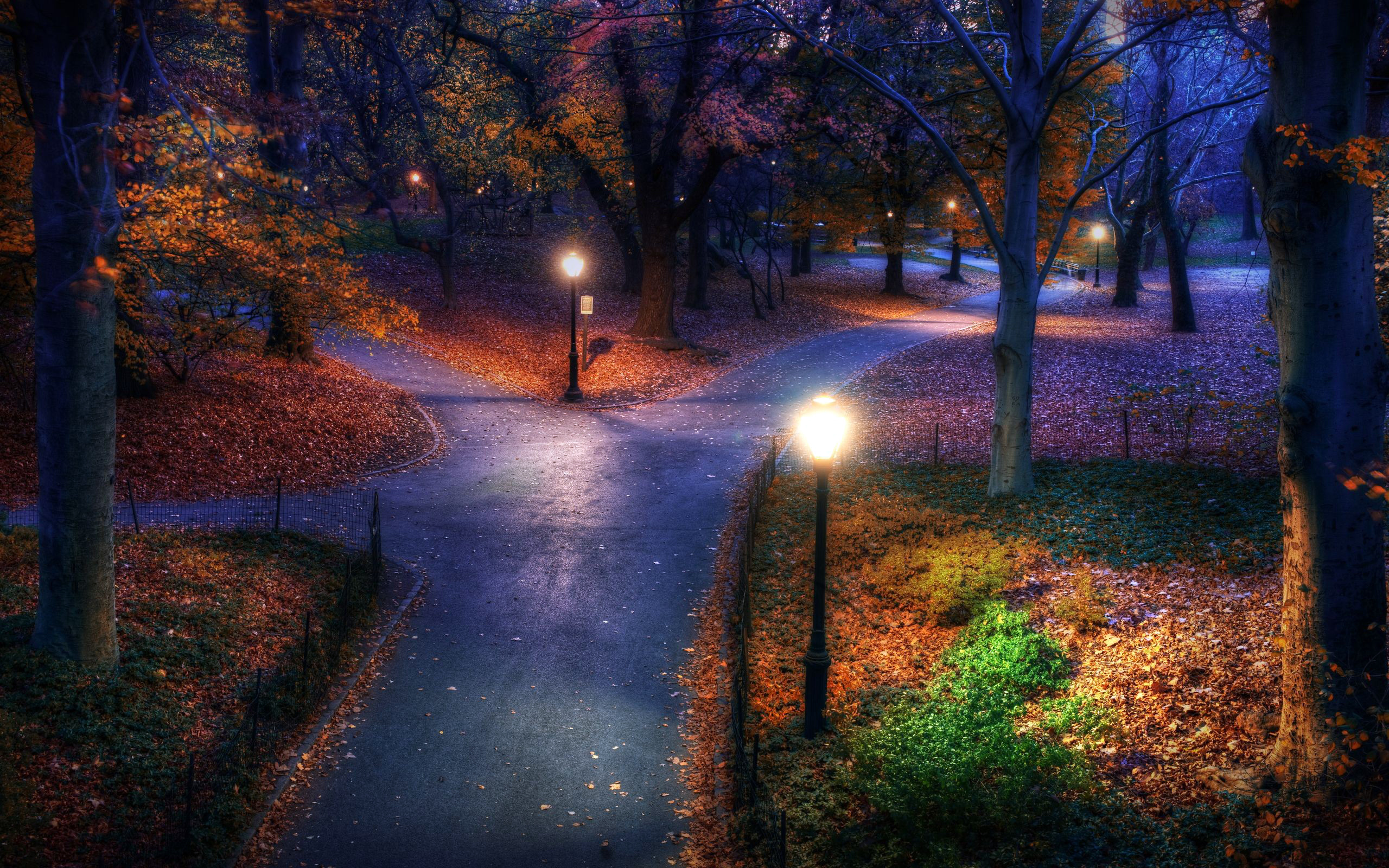 Autumn Night Wallpapers