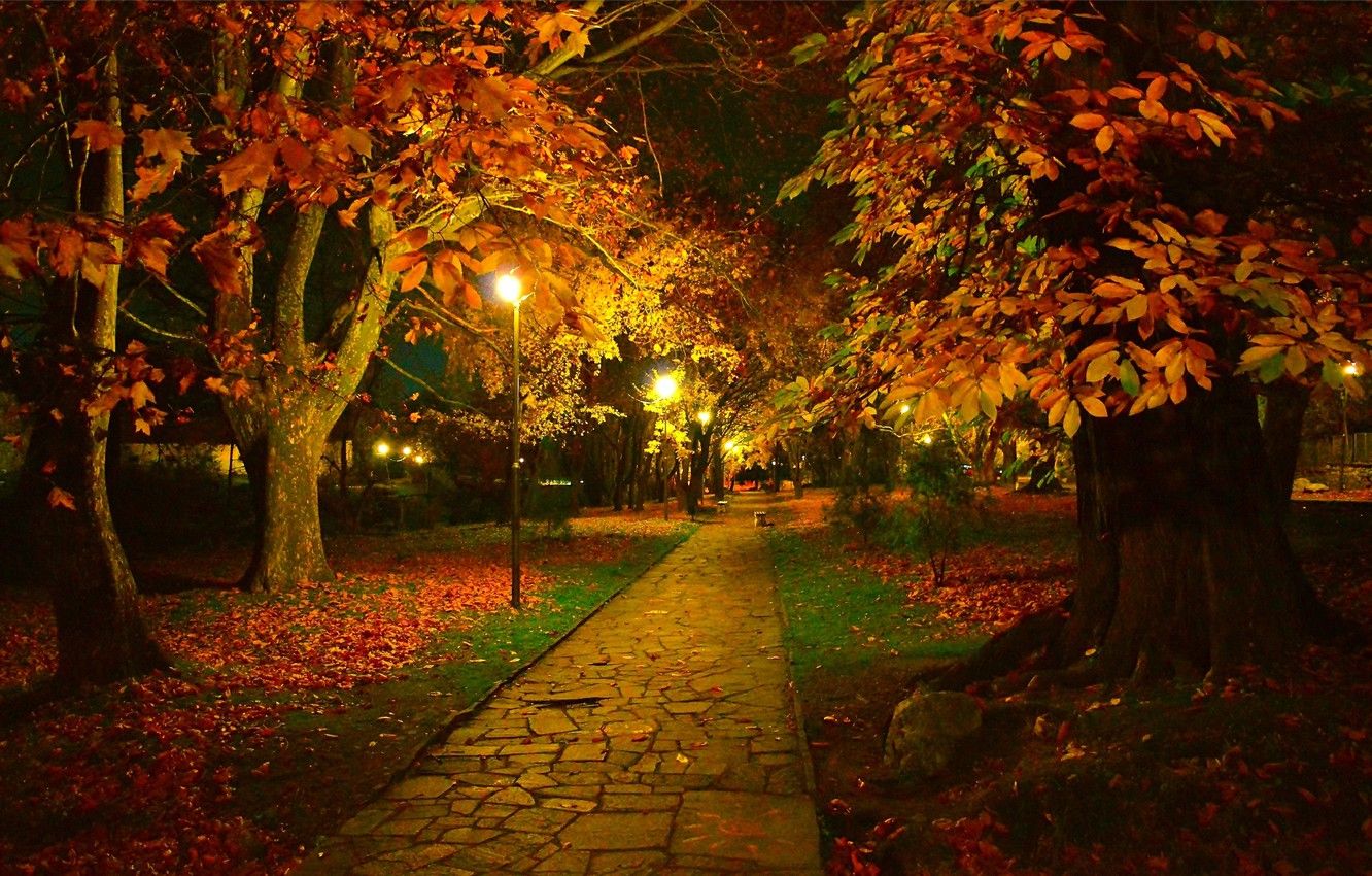 Autumn Night Wallpapers