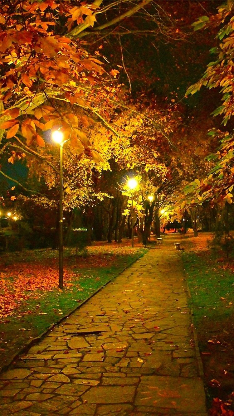 Autumn Night Wallpapers