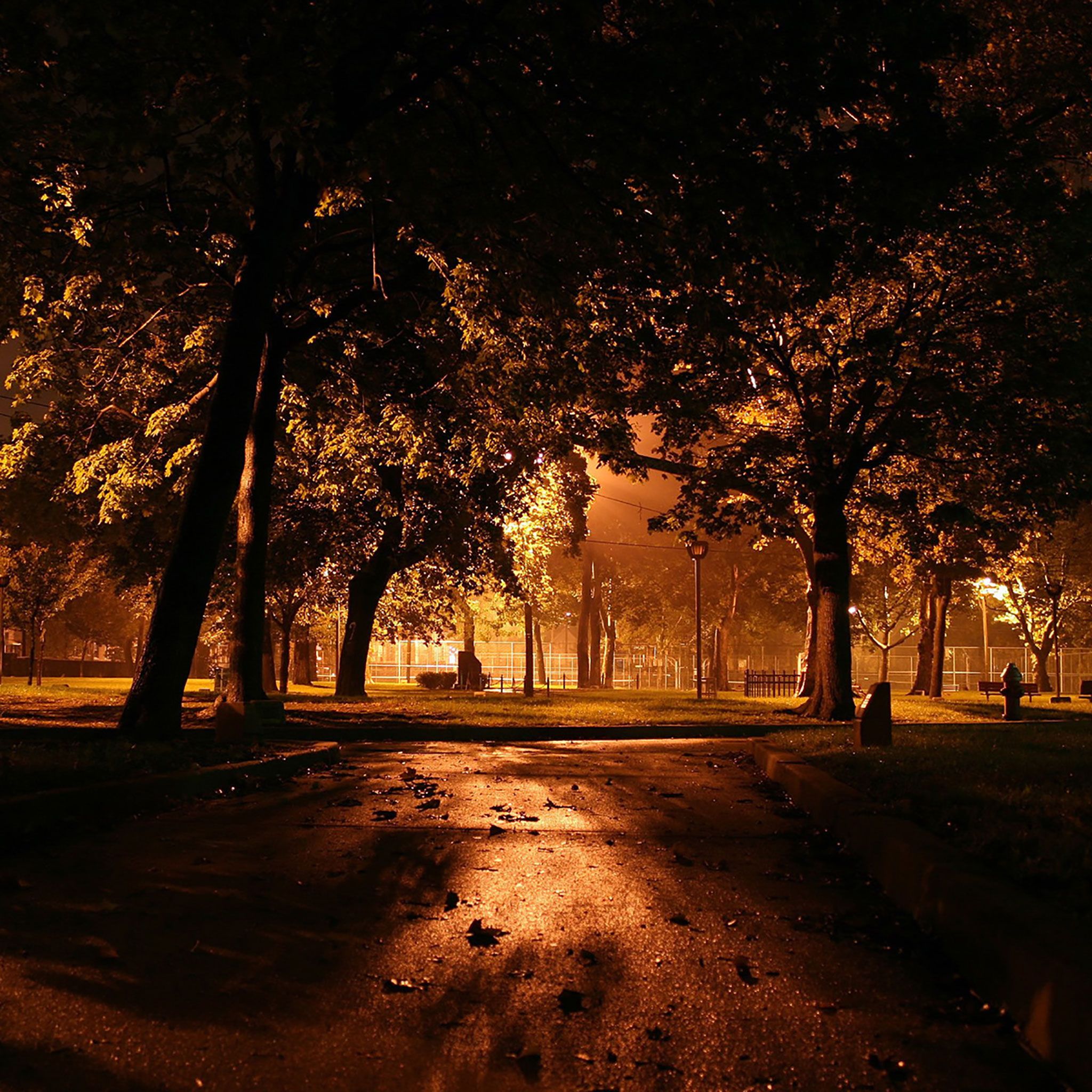 Autumn Night Wallpapers