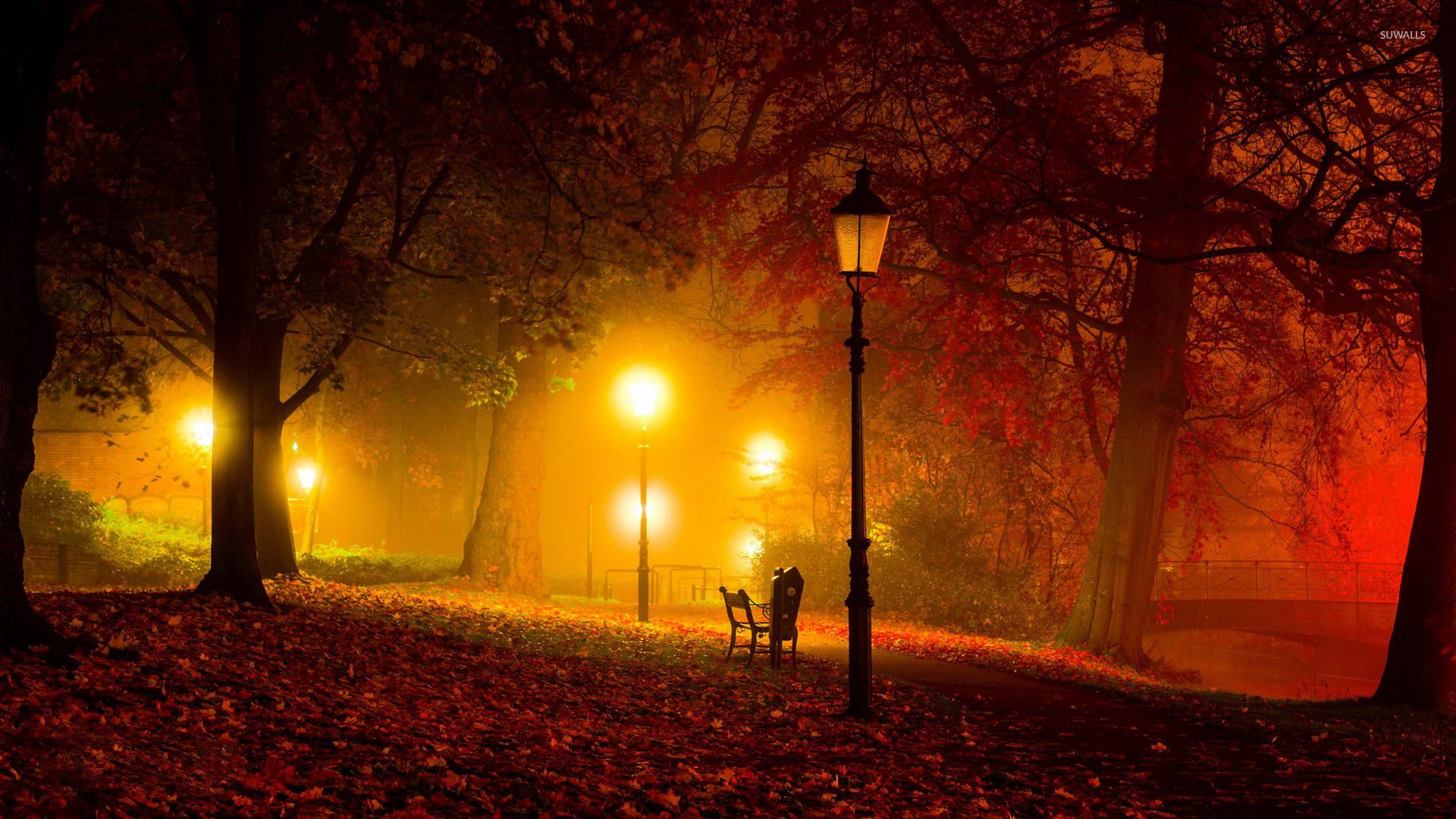 Autumn Night Wallpapers