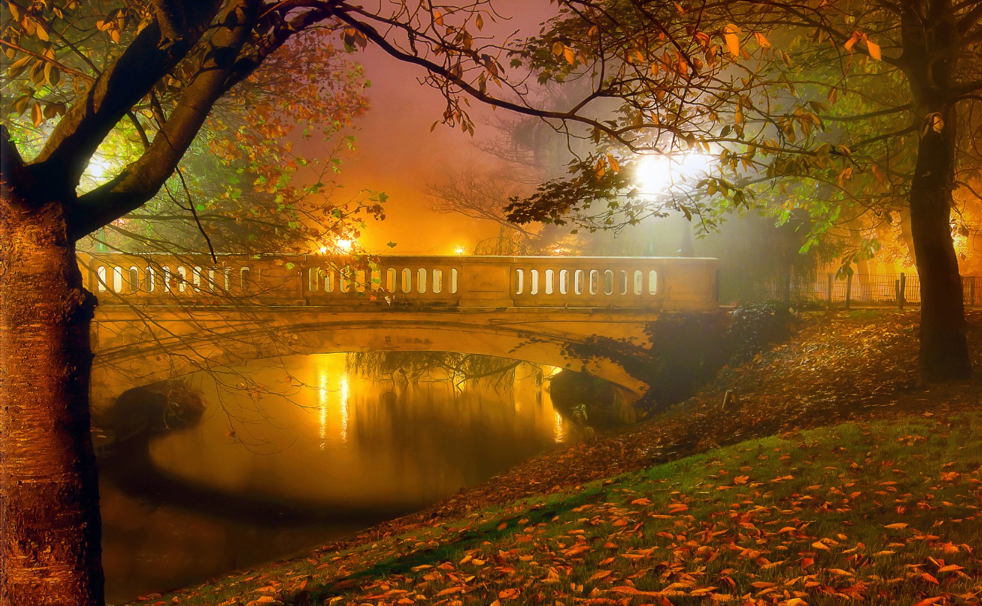 Autumn Night Wallpapers