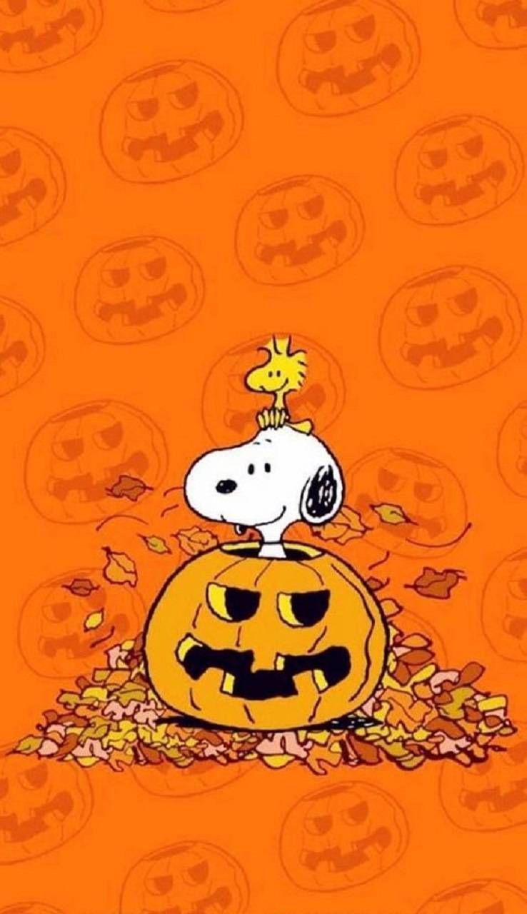 Autumn Peanuts Wallpapers