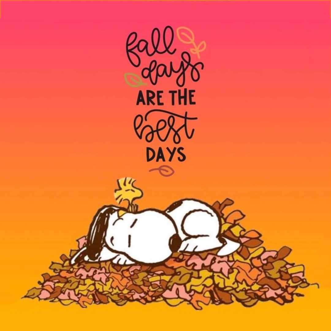 Autumn Peanuts Wallpapers