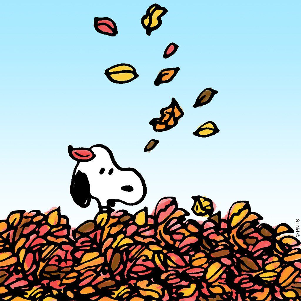 Autumn Peanuts Wallpapers