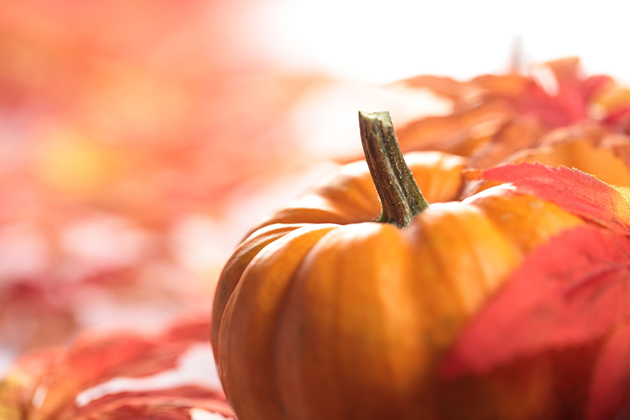 Autumn Pumpkin Desktop Wallpapers