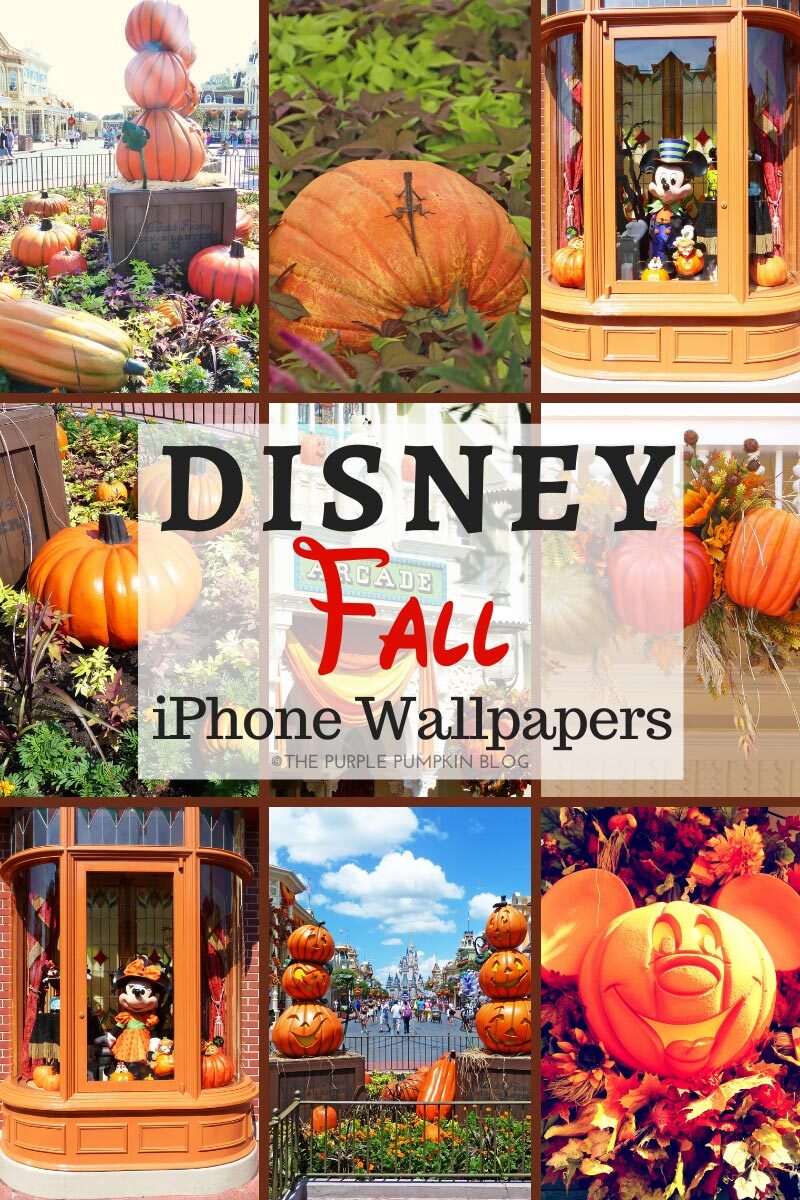 Autumn Pumpkin Iphone Wallpapers