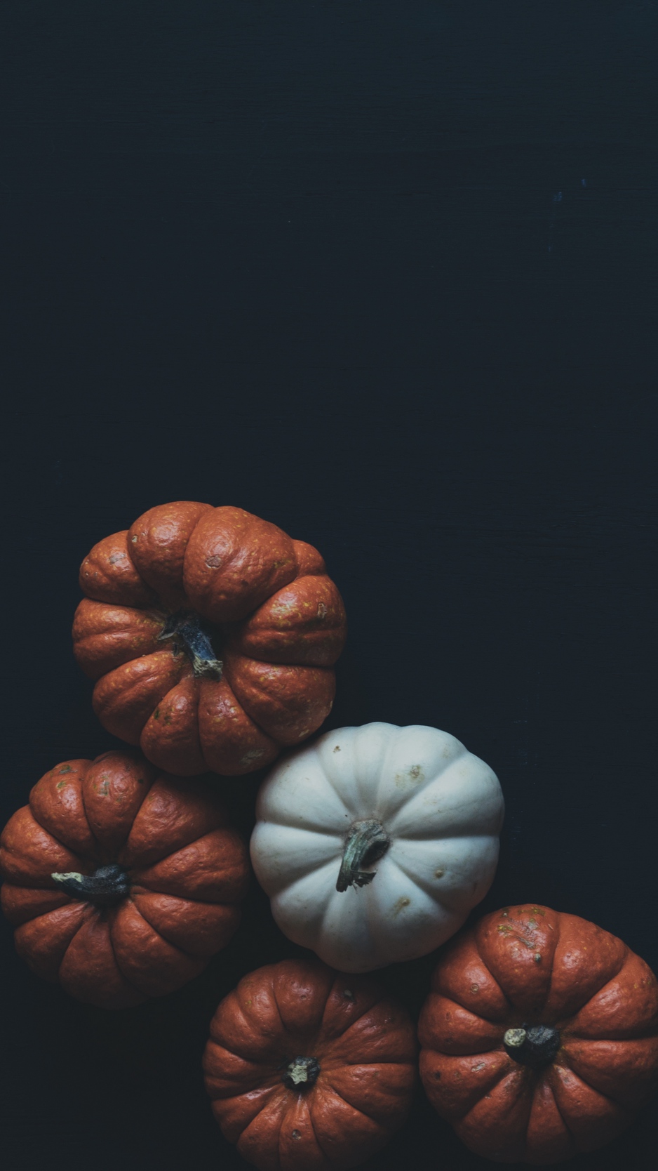 Autumn Pumpkin Iphone Wallpapers