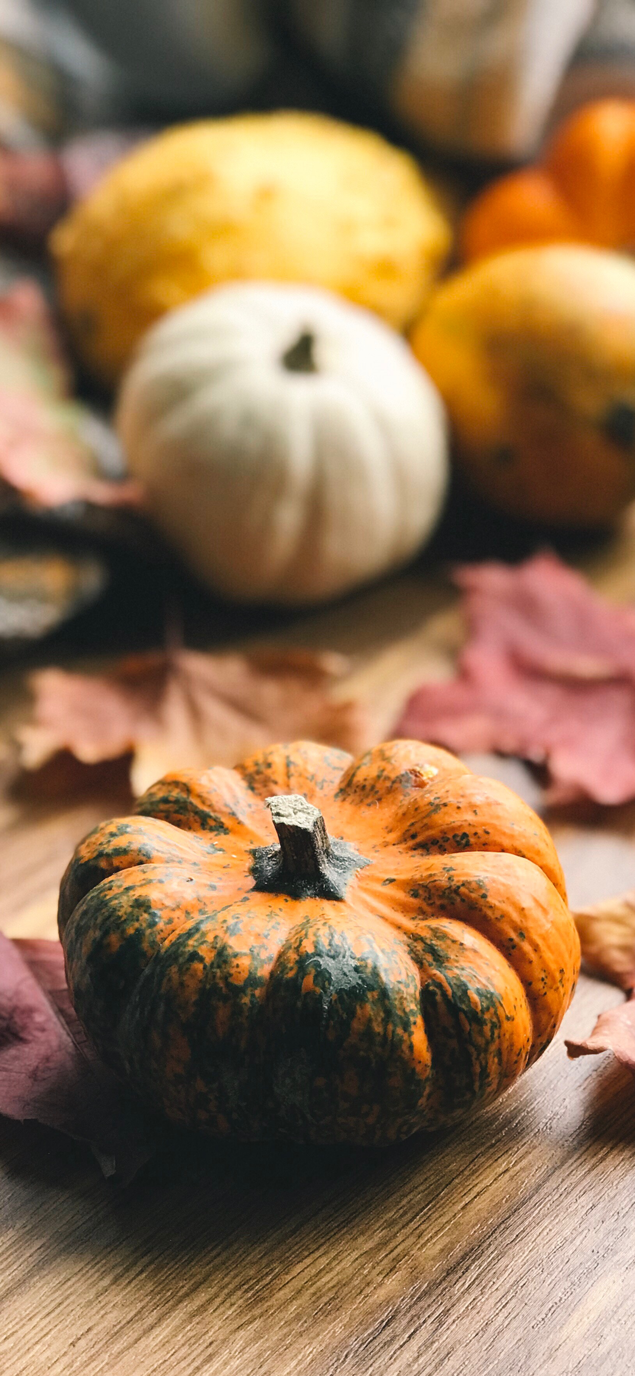 Autumn Pumpkin Iphone Wallpapers