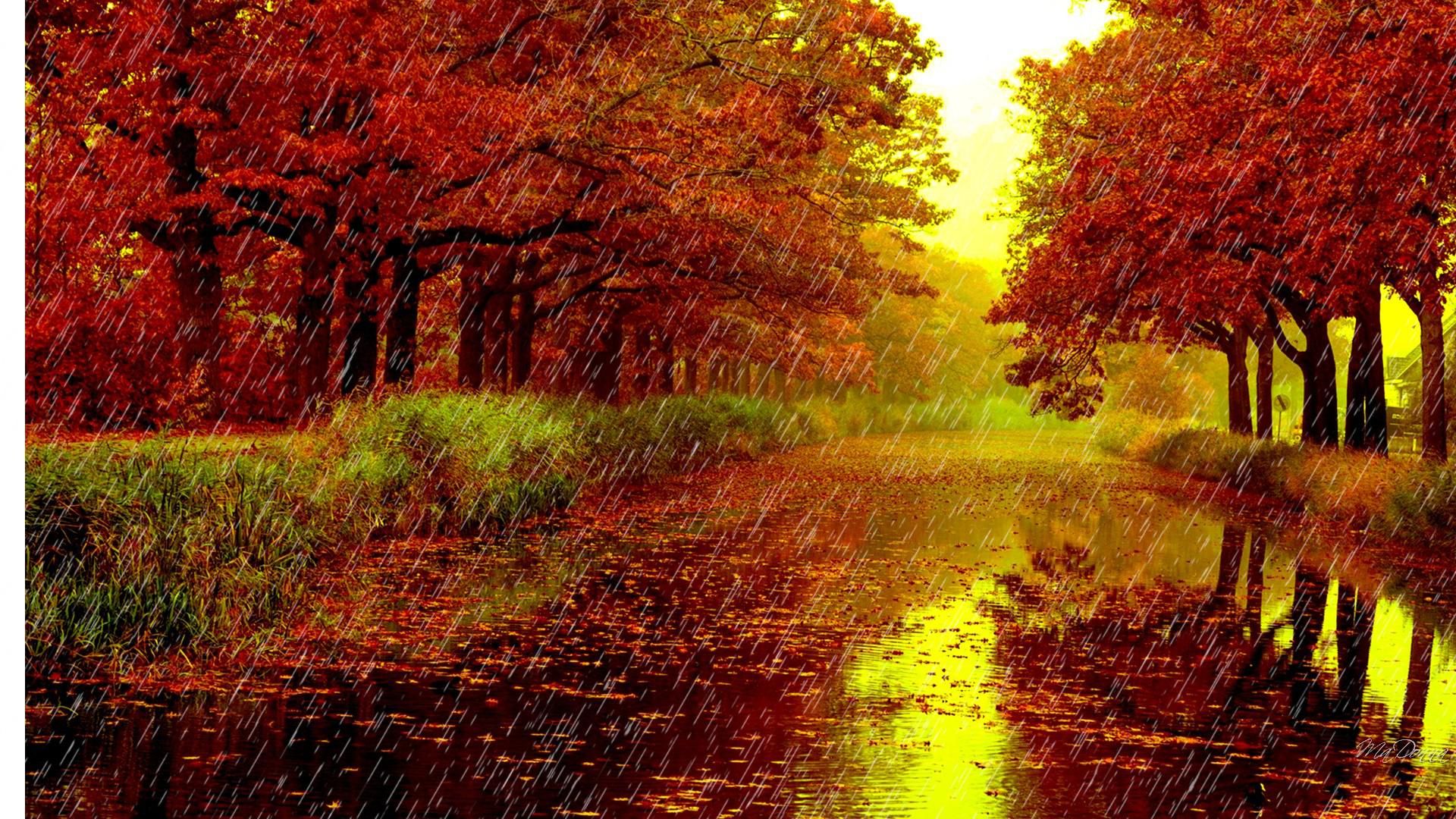 Autumn Rain Wallpapers