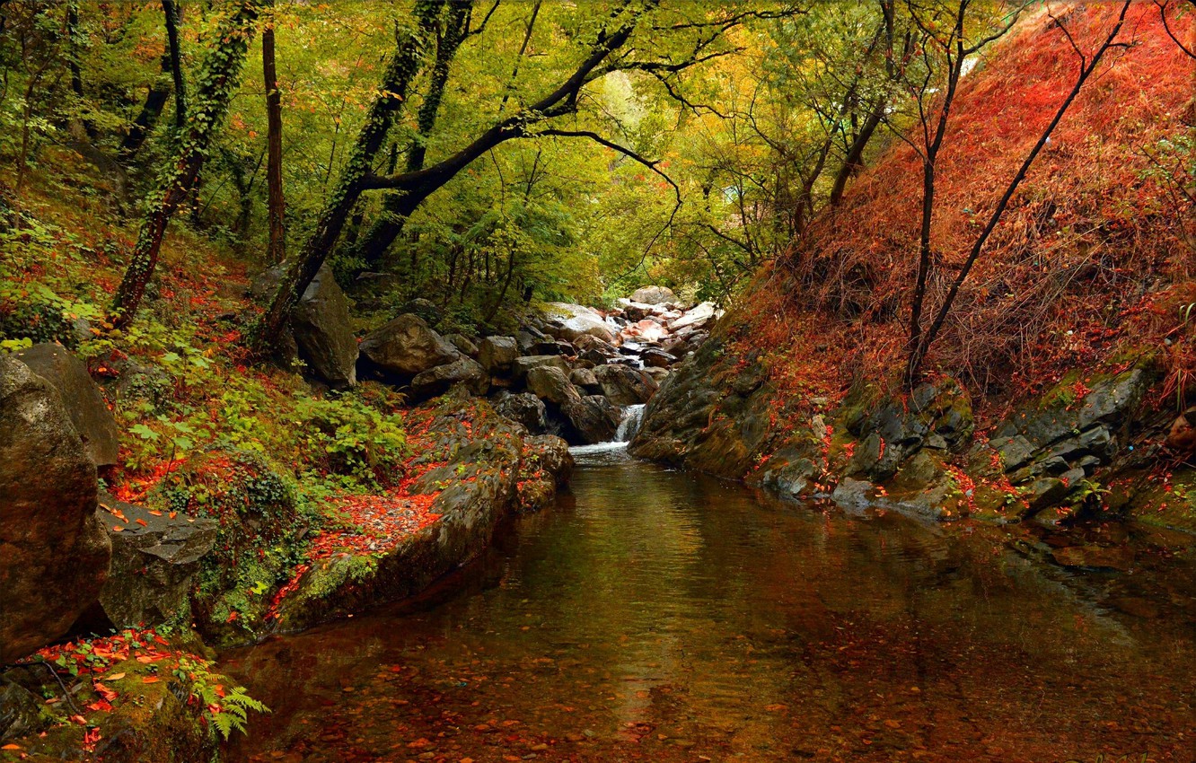 Autumn River Wallpapers