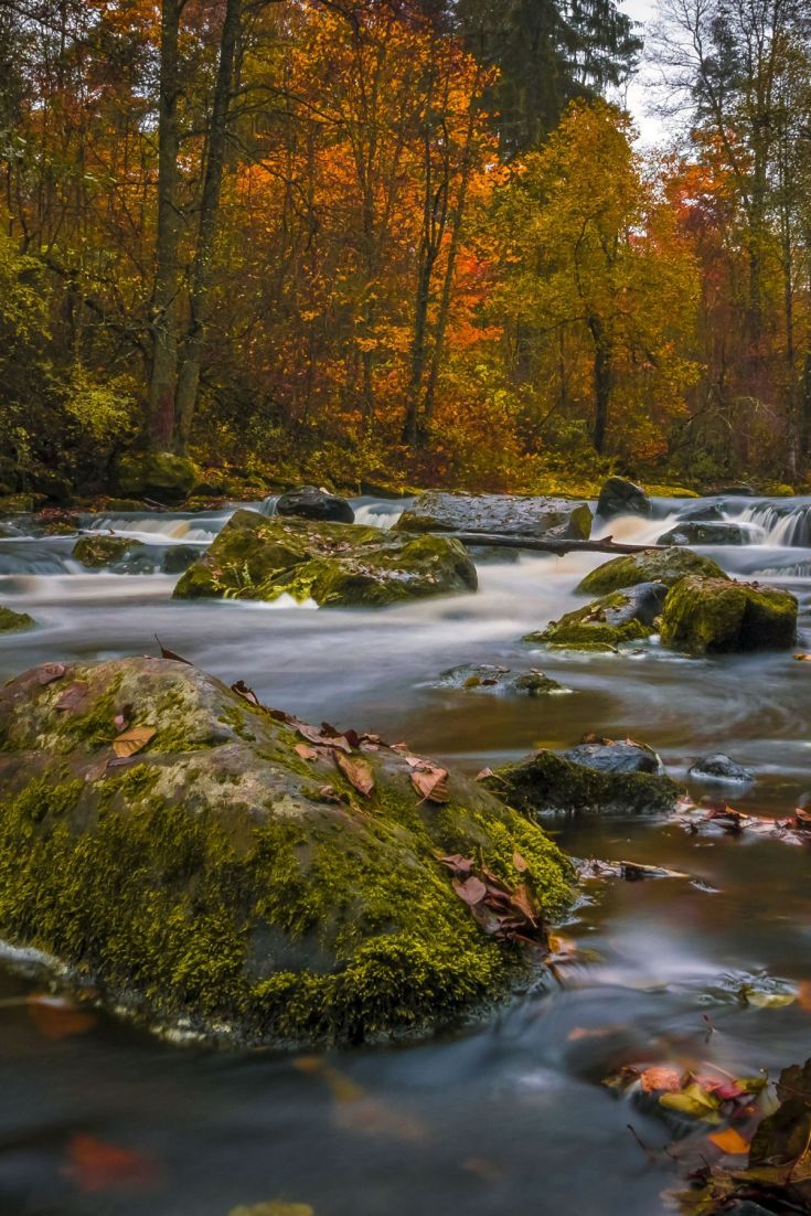 Autumn River Wallpapers