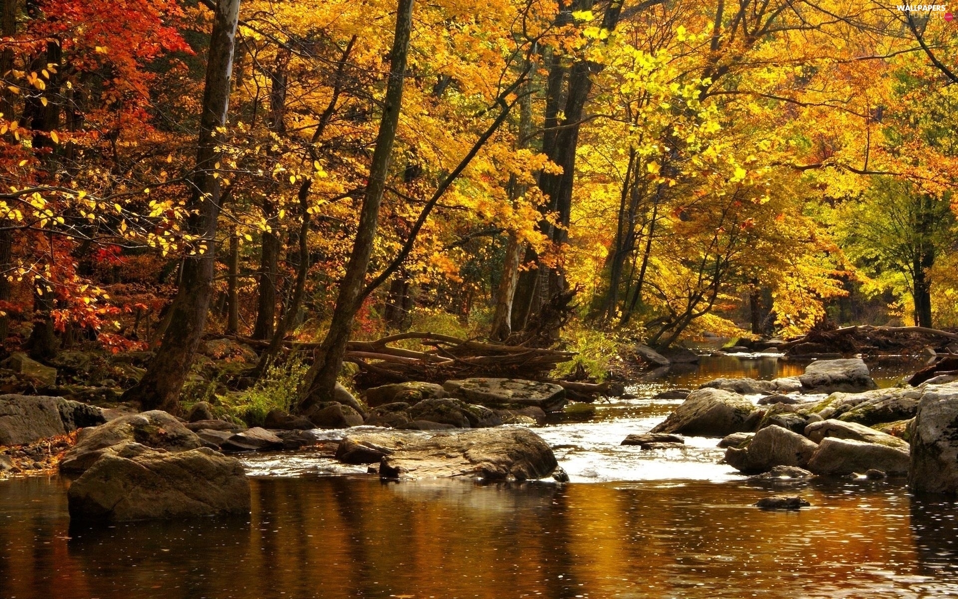 Autumn River Wallpapers