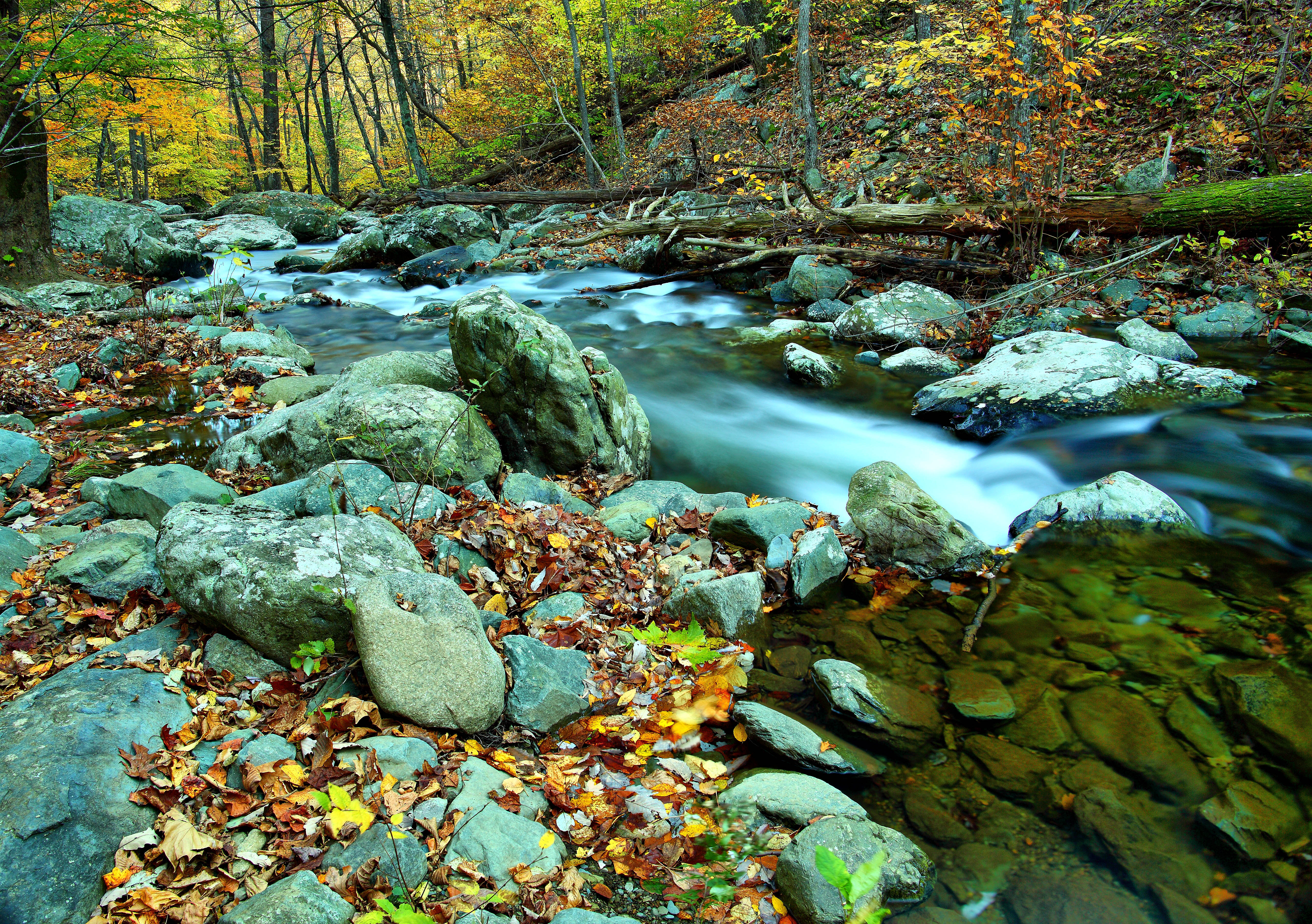 Autumn River Wallpapers