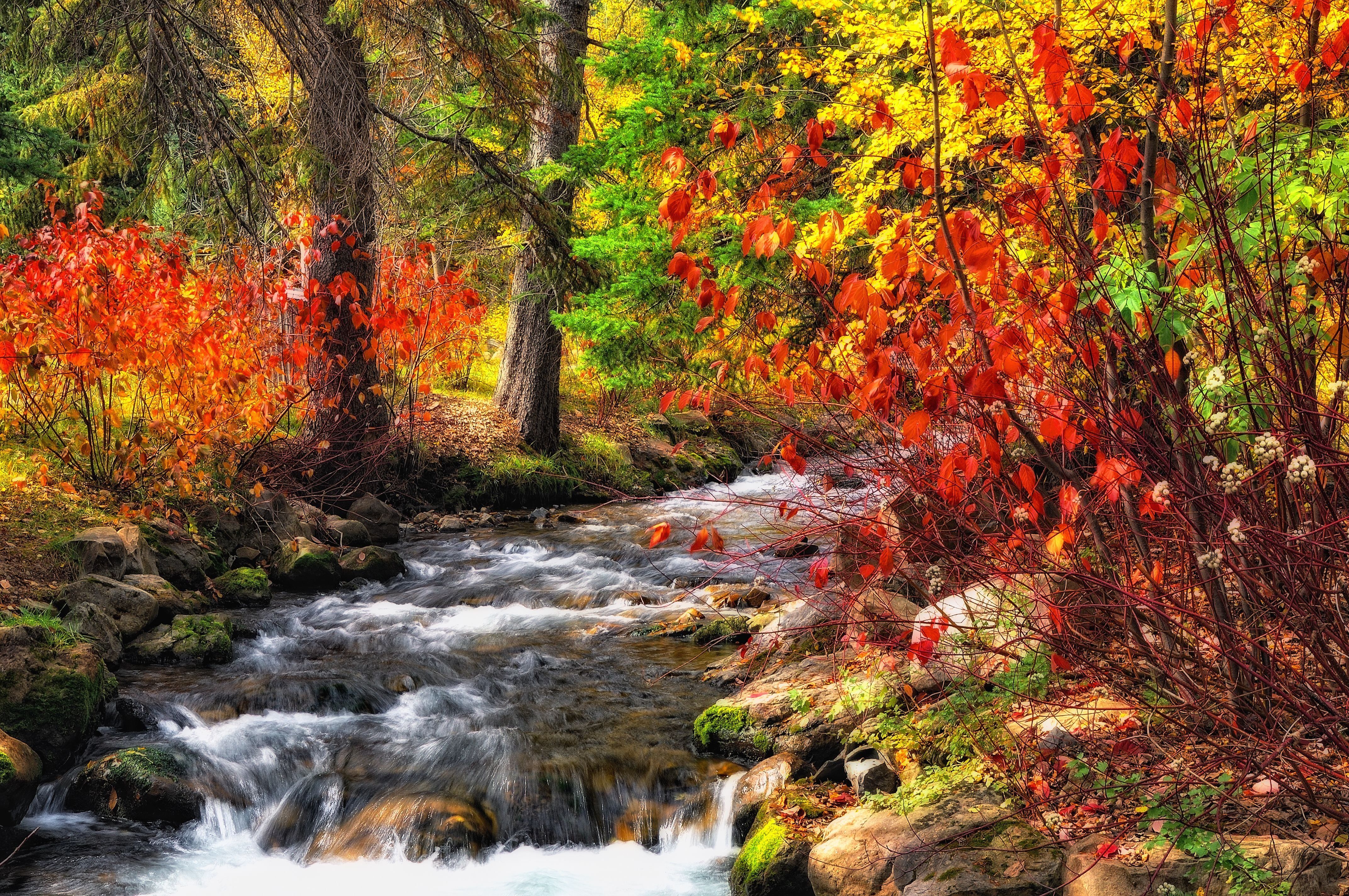 Autumn River Hd Side Path Wallpapers