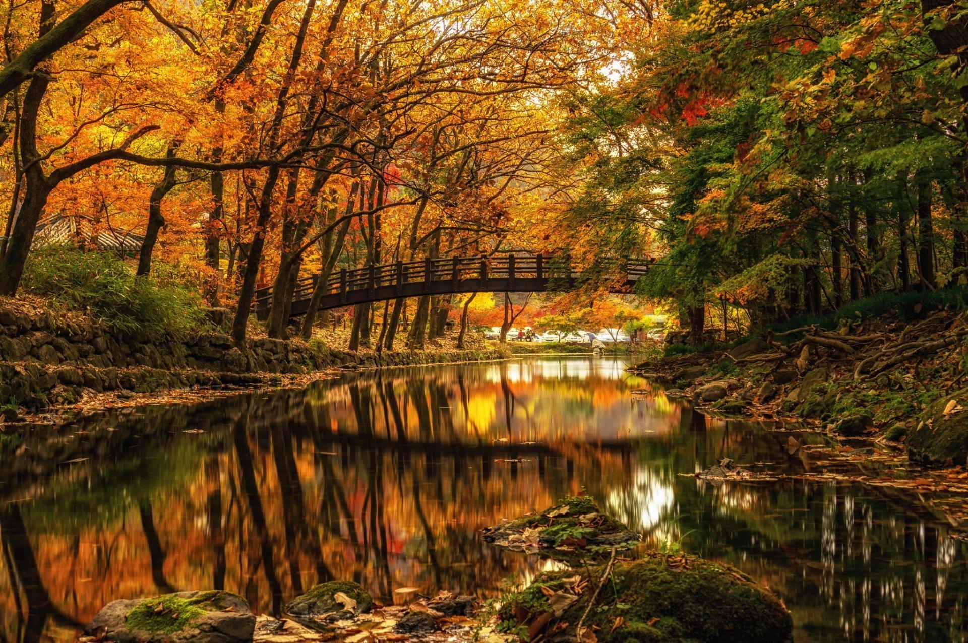 Autumn River Hd Side Path Wallpapers