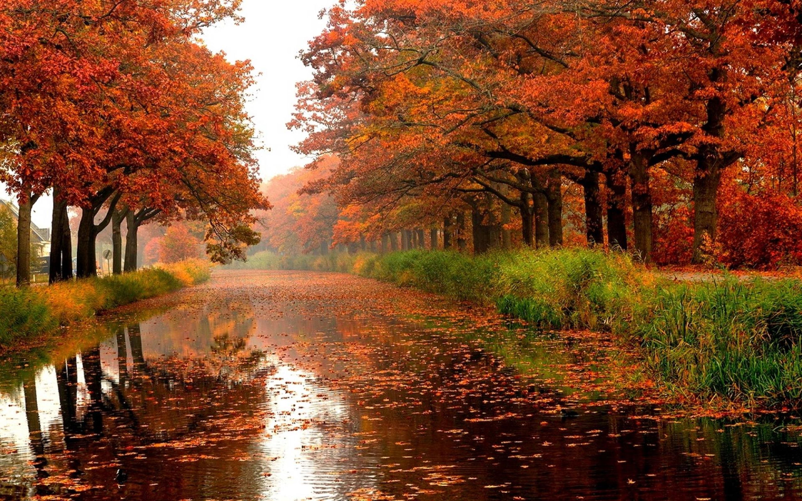 Autumn River Hd Side Path Wallpapers