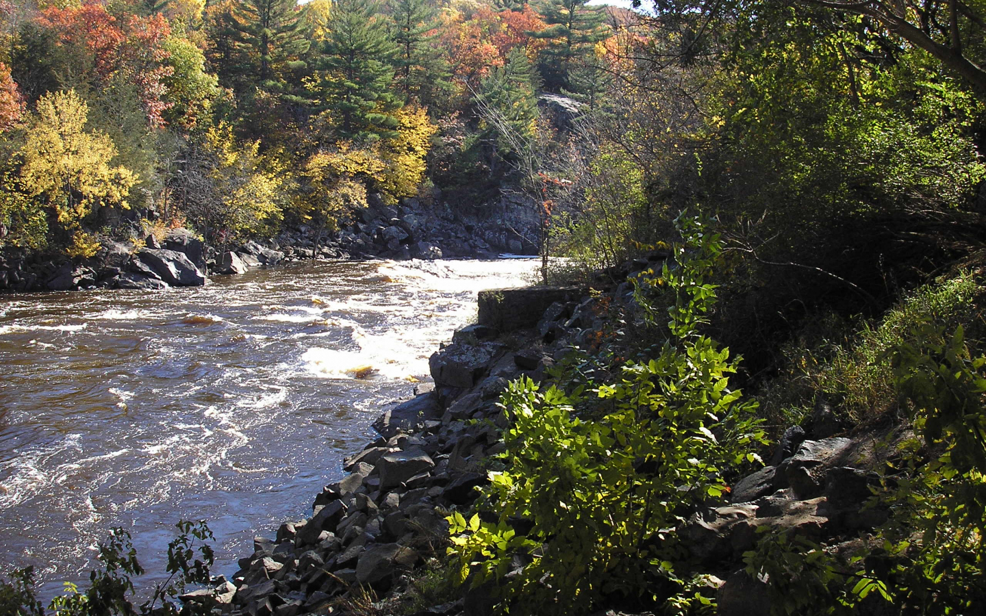 Autumn River Hd Side Path Wallpapers