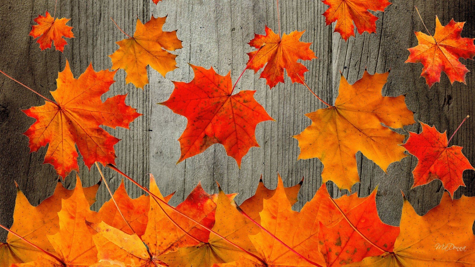 Autumn Rustic Wallpapers