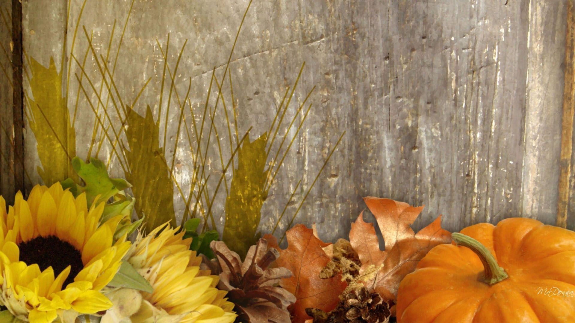 Autumn Rustic Wallpapers