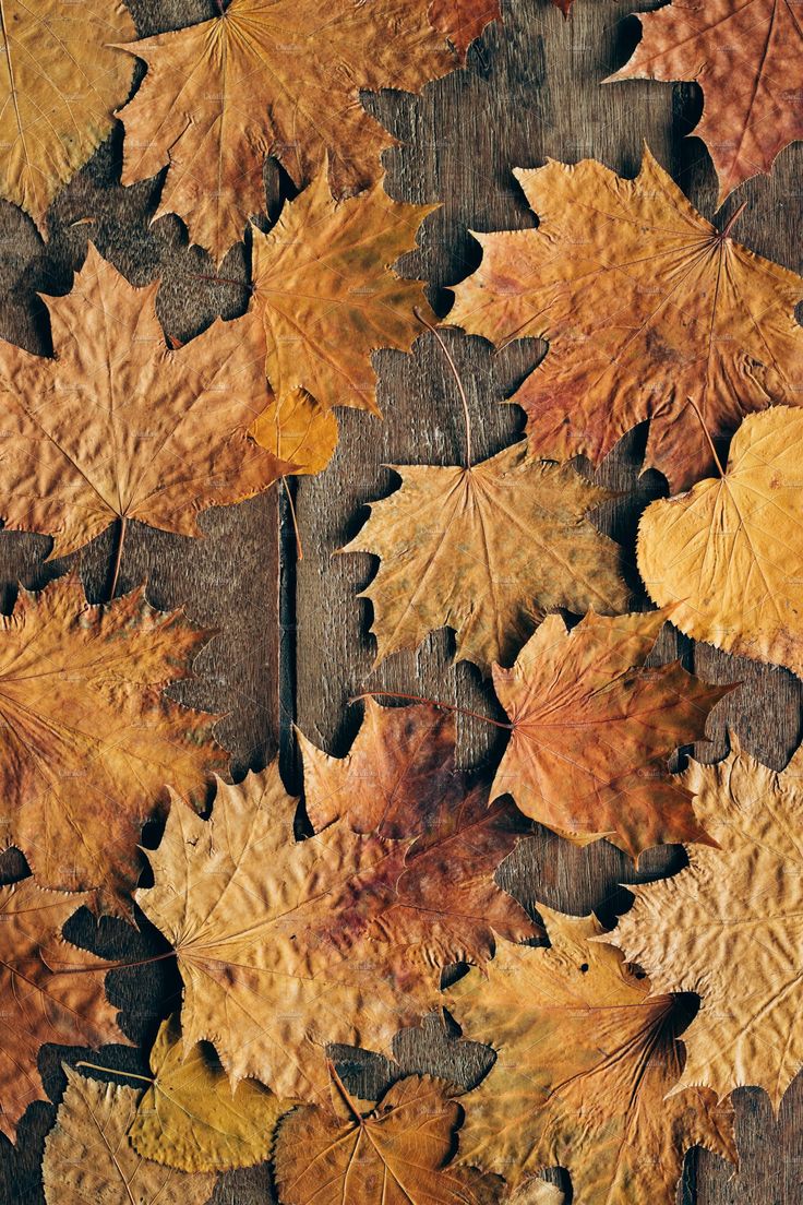 Autumn Rustic Wallpapers