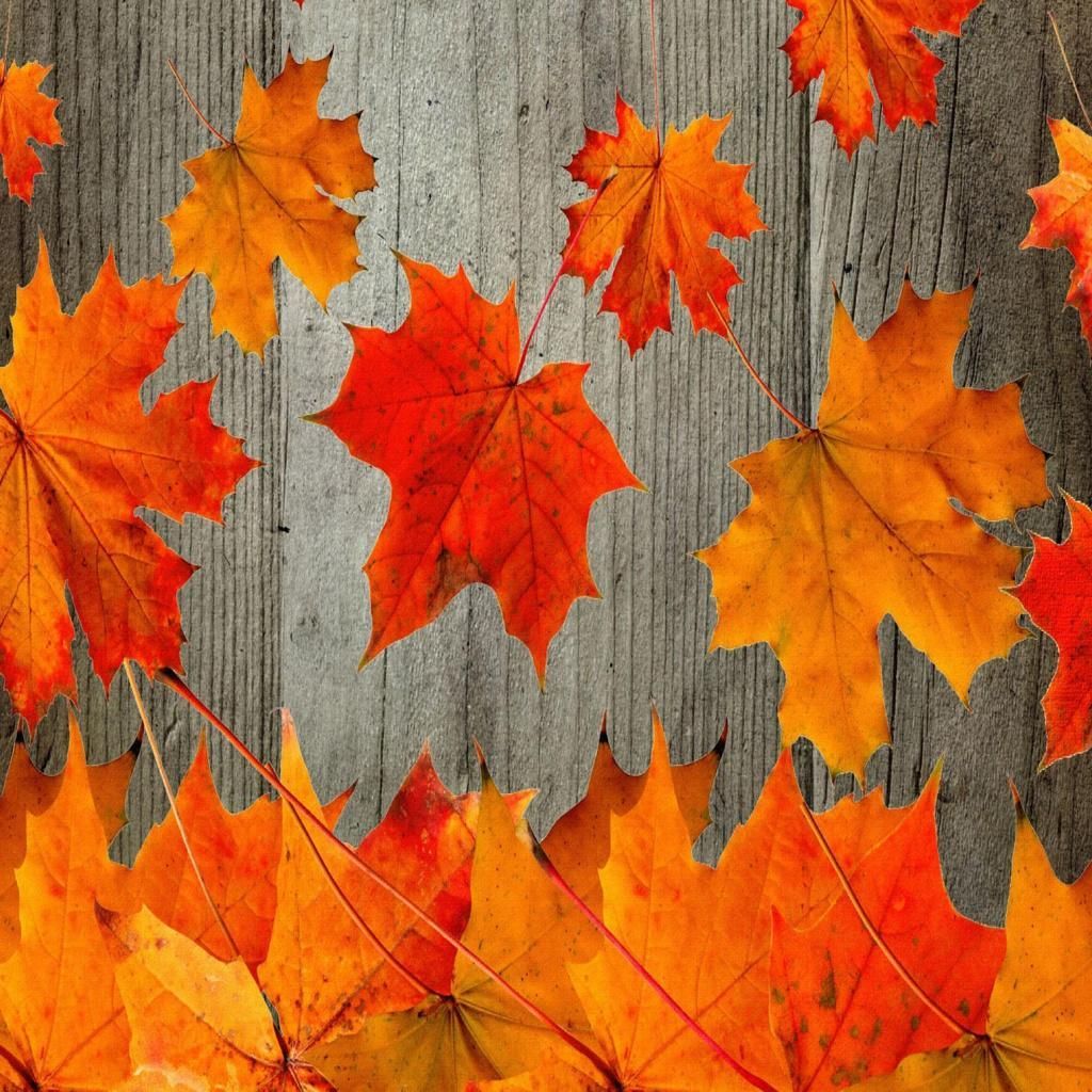 Autumn Rustic Wallpapers