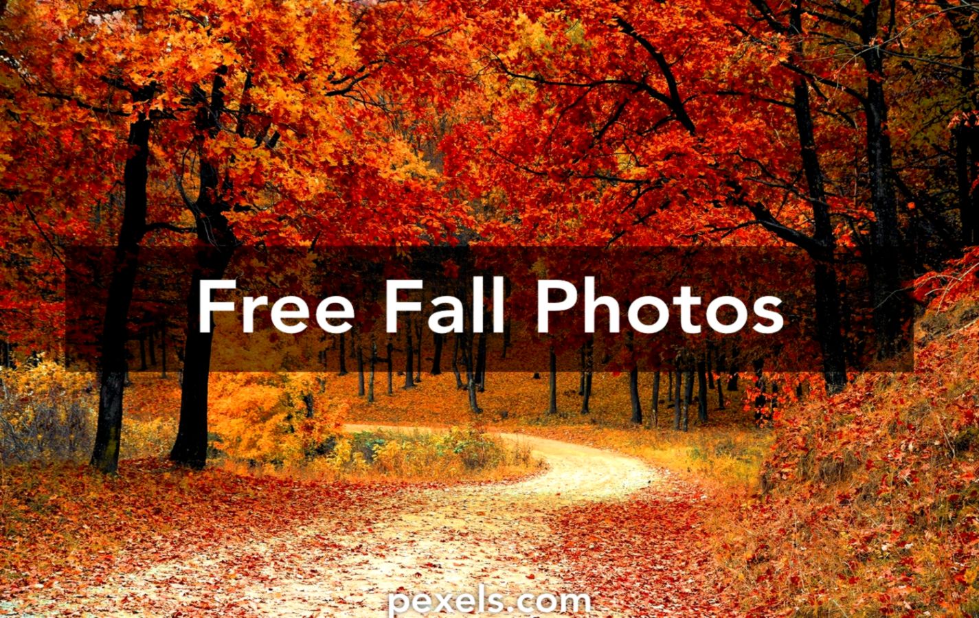 Autumn Scene Wallpapers