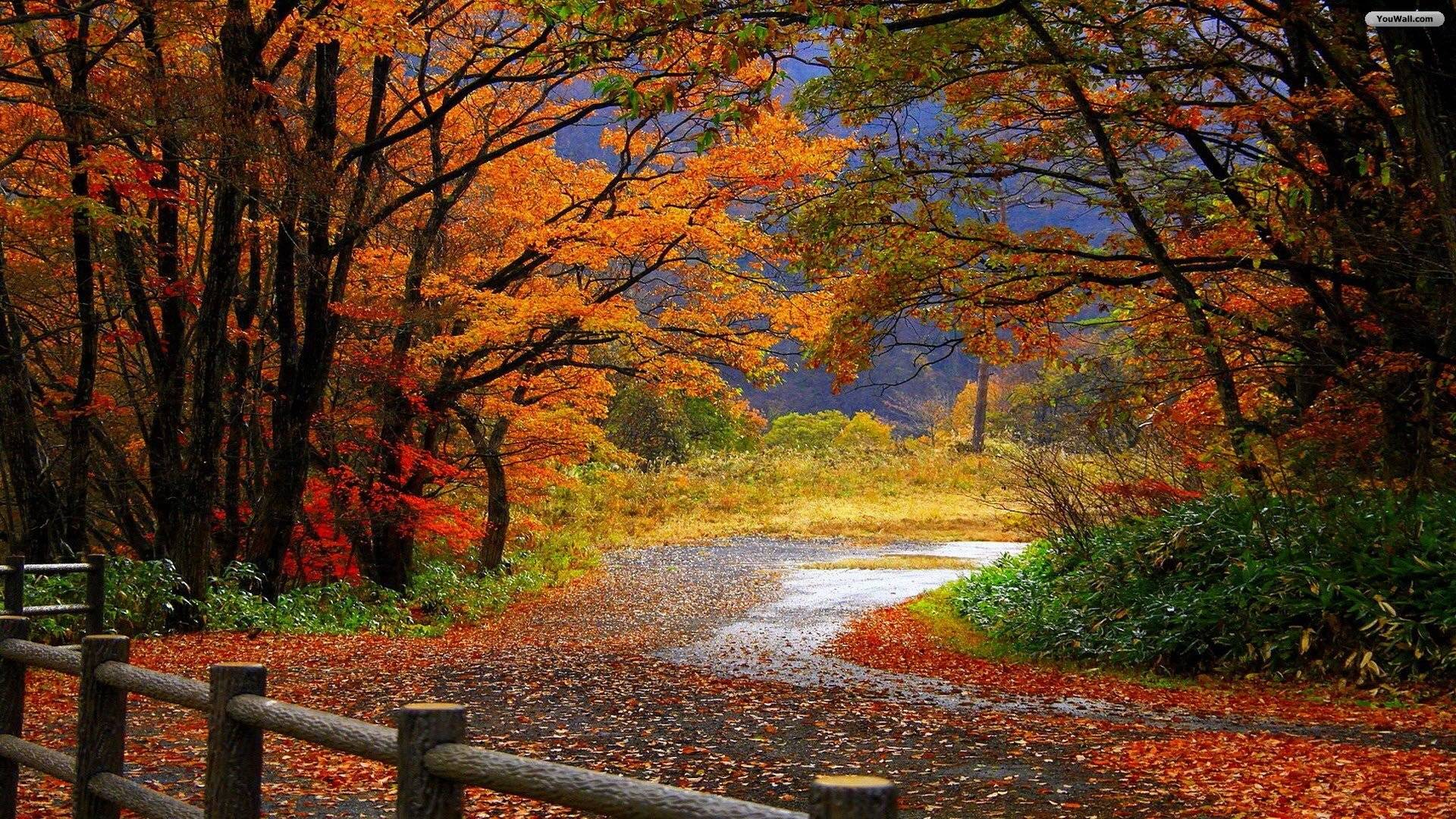 Autumn Scenery Wallpapers