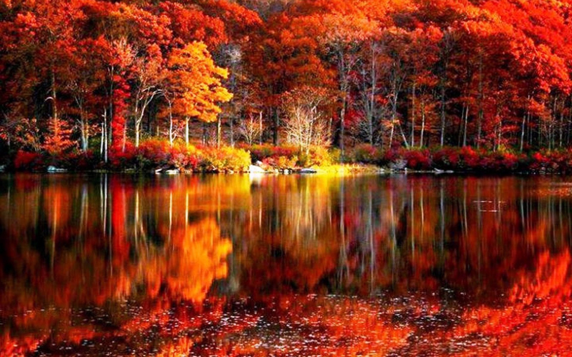 Autumn Scenery Wallpapers