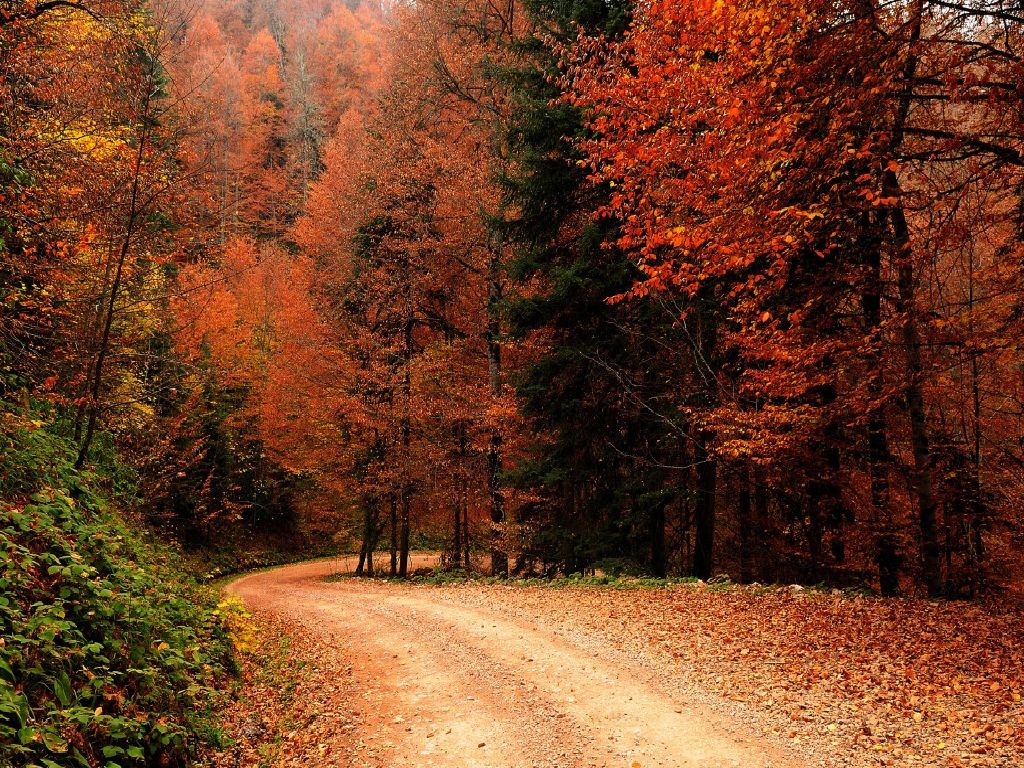 Autumn Scenery Wallpapers