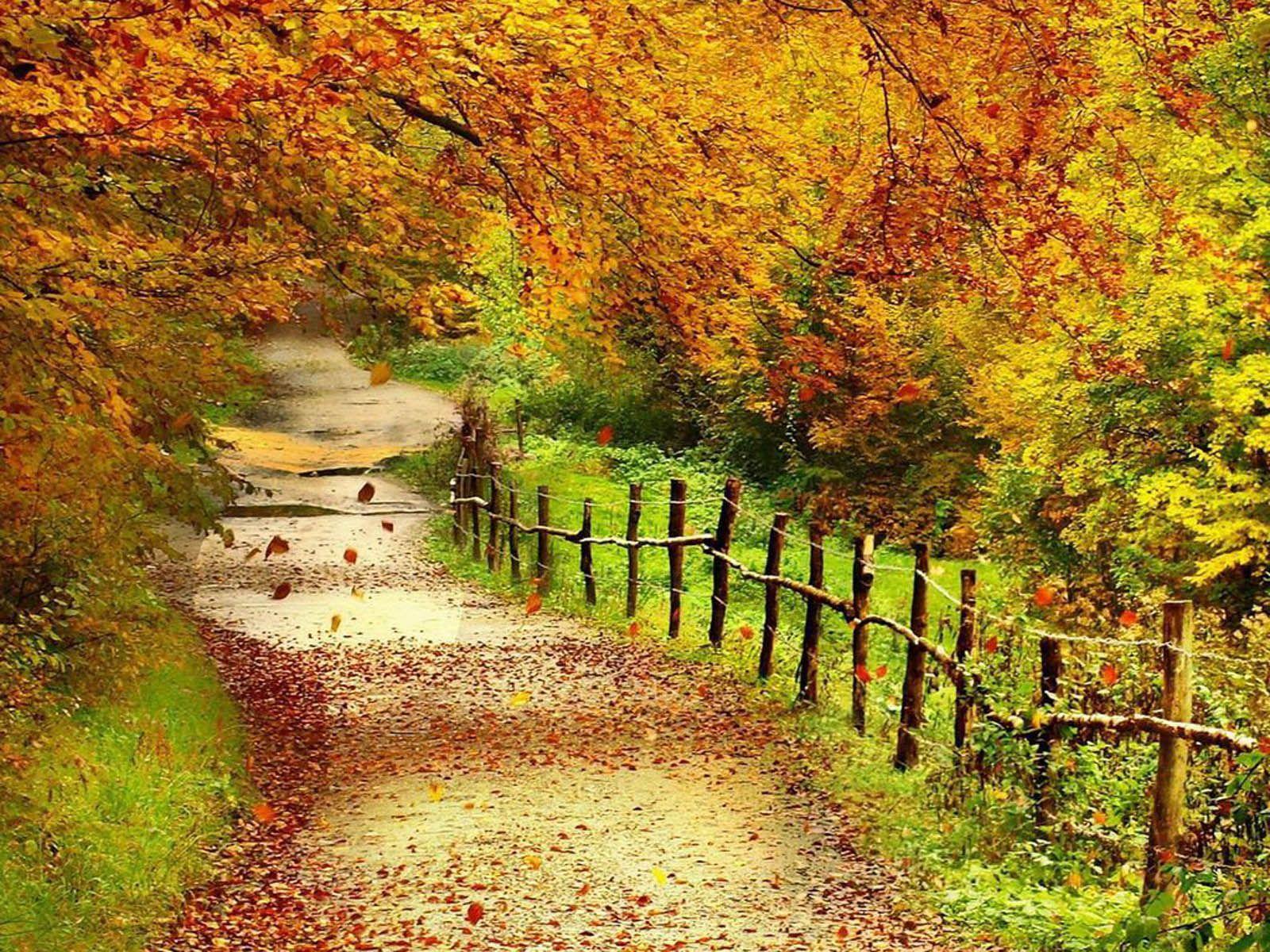 Autumn Scenery Wallpapers