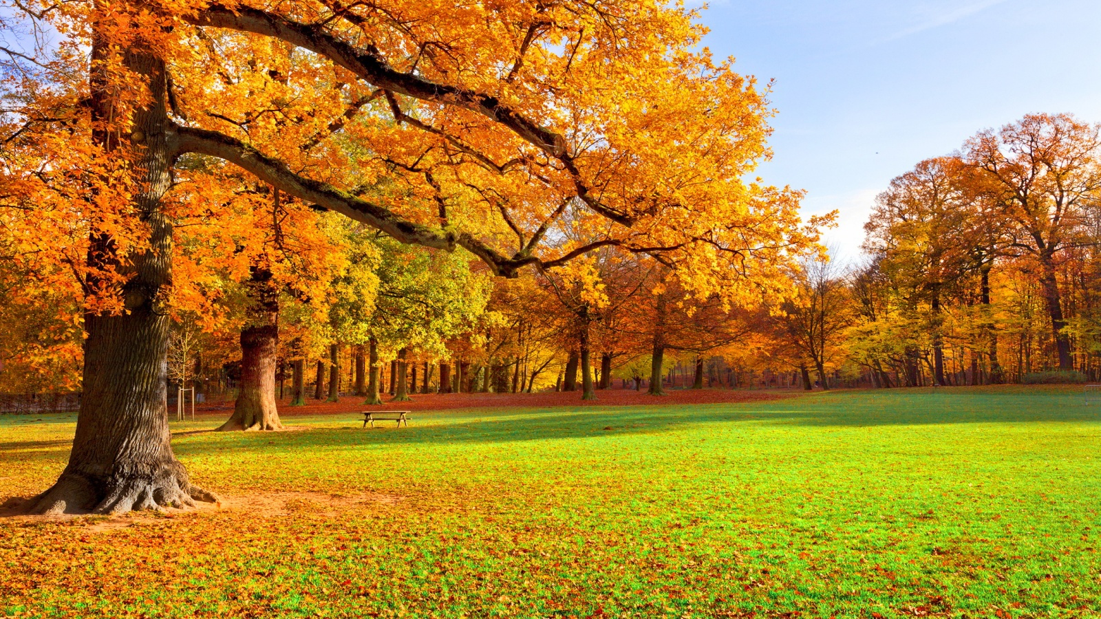 Autumn Scenery Wallpapers