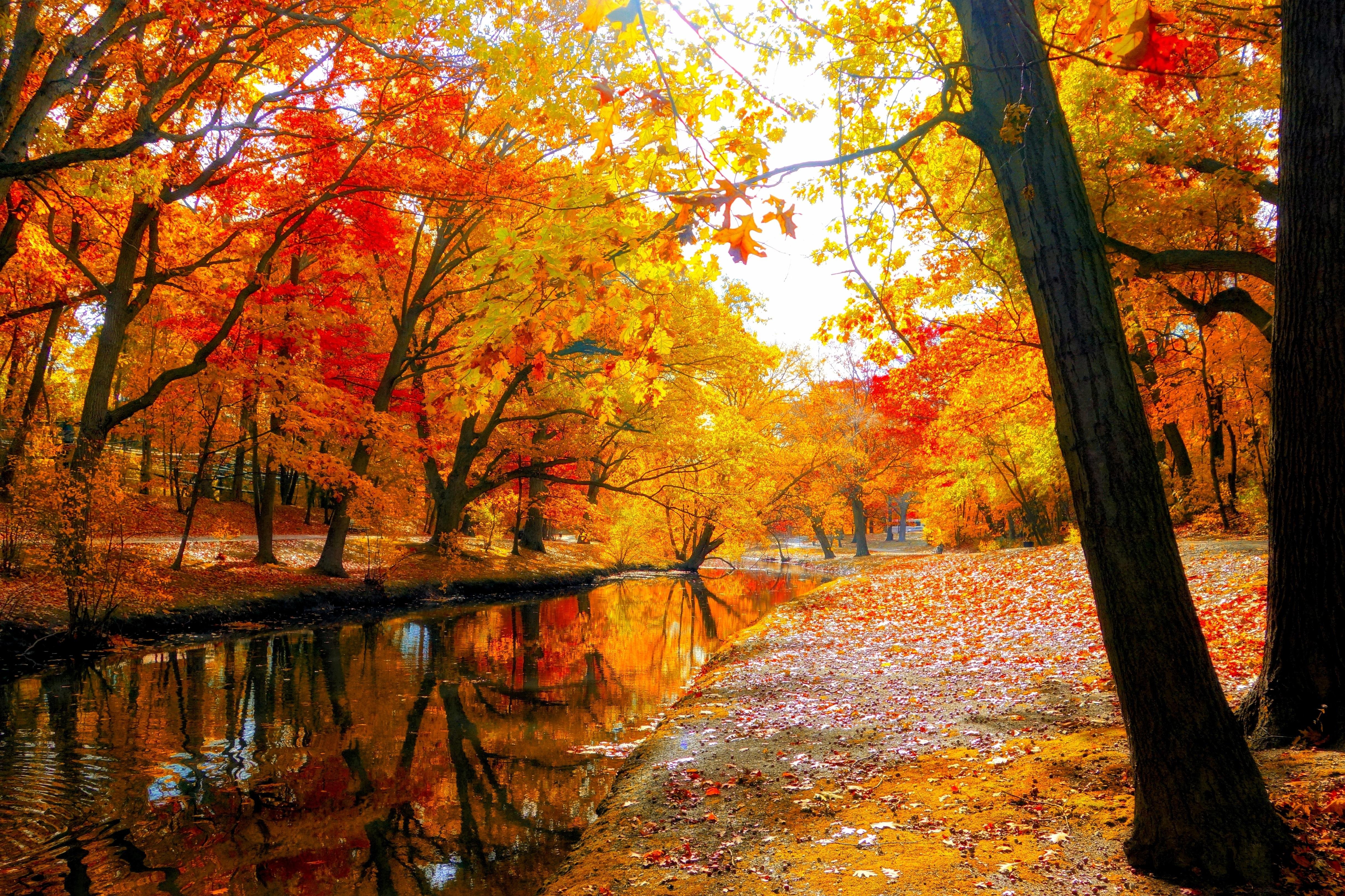 Autumn Scenery Wallpapers