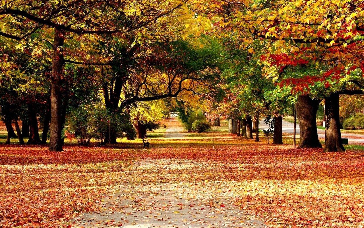 Autumn Scenery Wallpapers