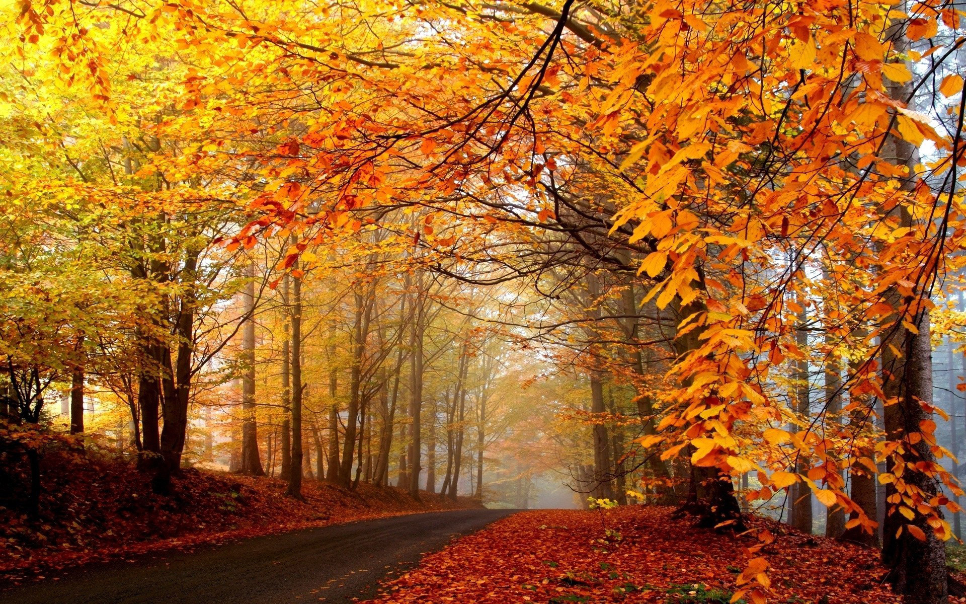 Autumn Scenes Desktop Wallpapers