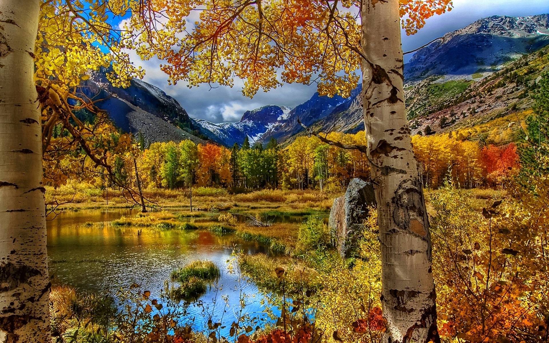 Autumn Scenes Wallpapers