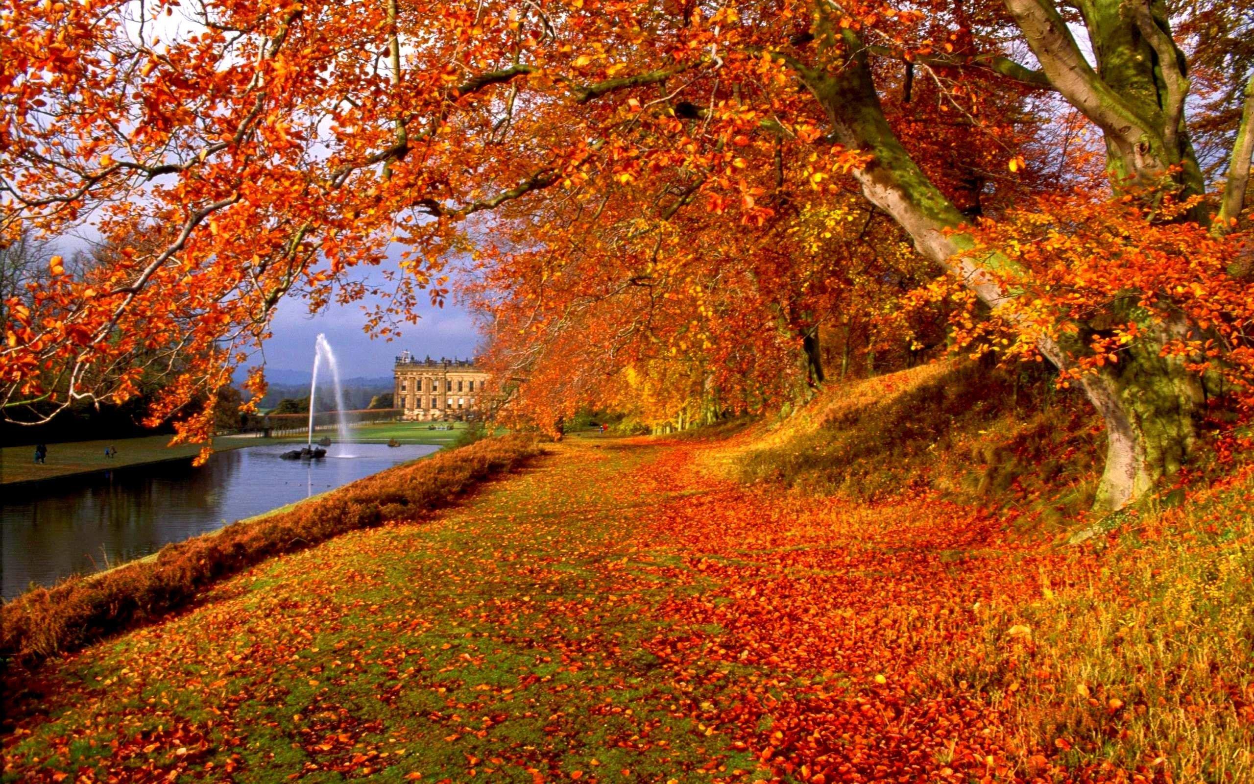 Autumn Scenes Wallpapers