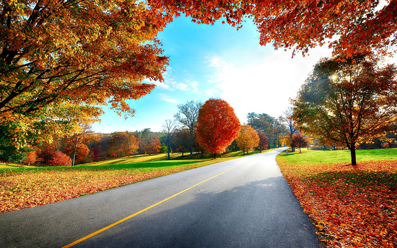 Autumn Scenes Wallpapers