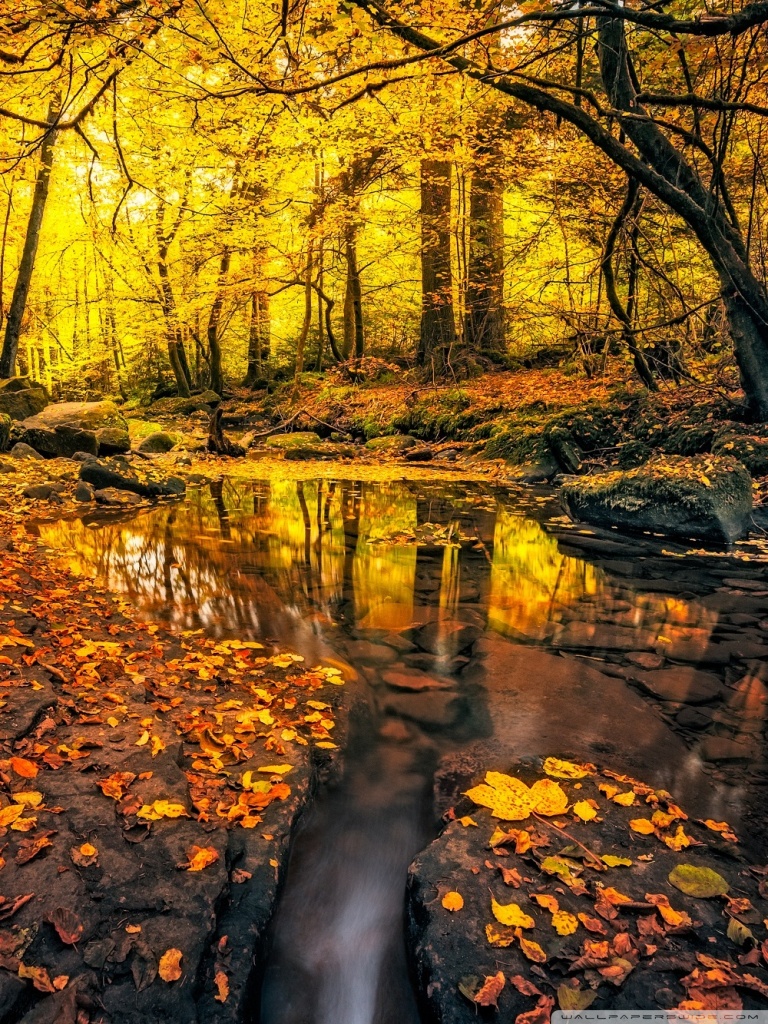 Autumn Scenes Wallpapers