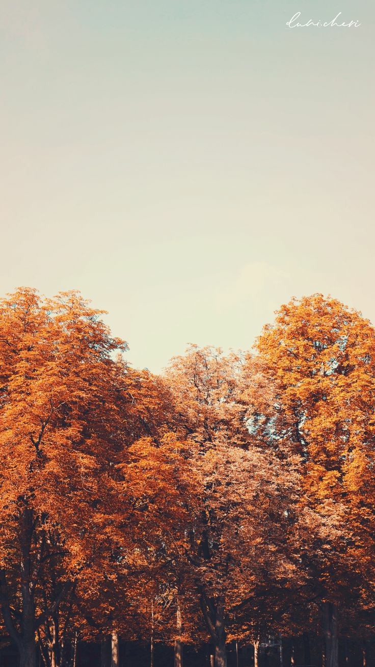 Autumn Season Wallpapers