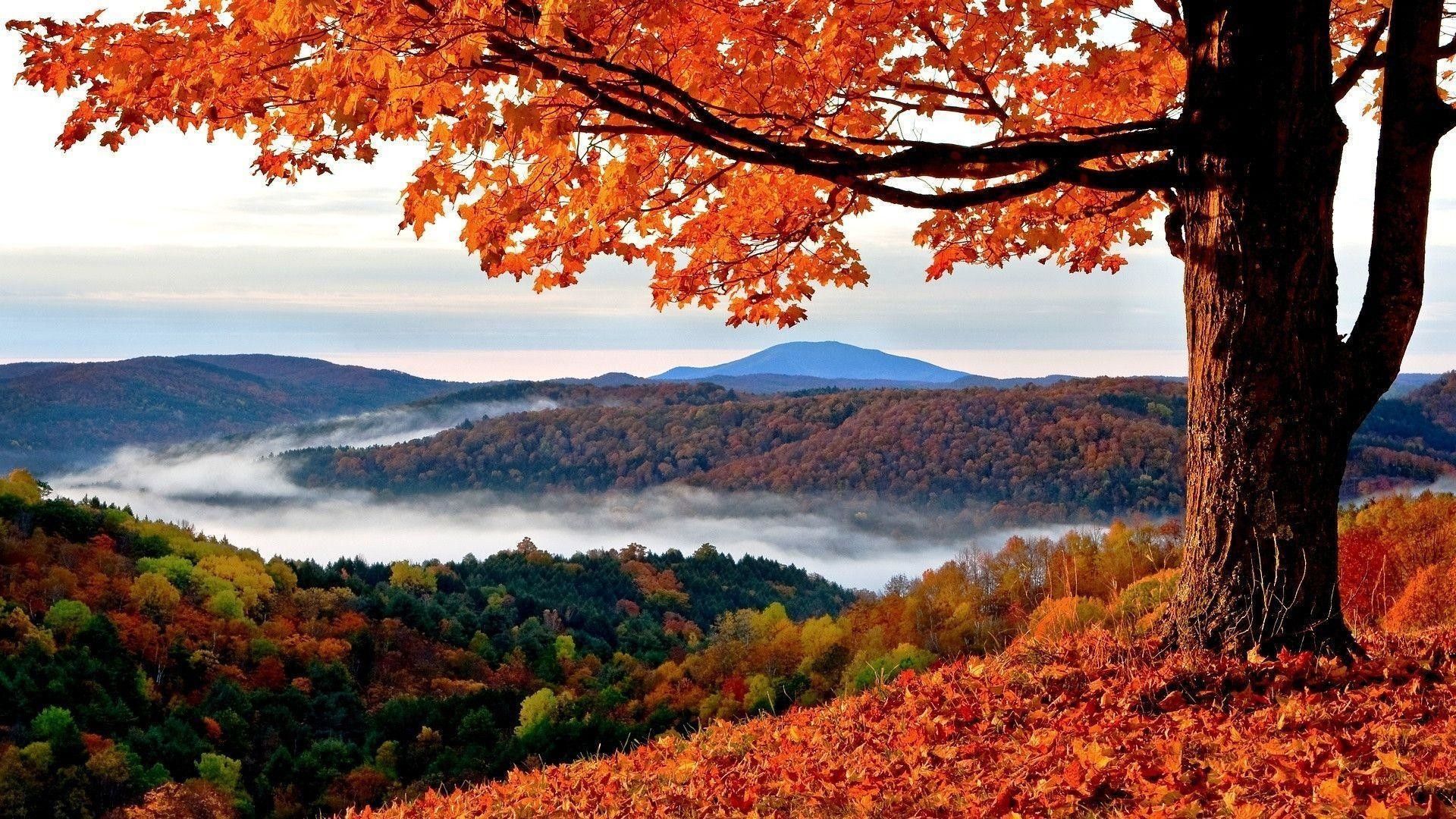 Autumn Season Hd Wallpapers