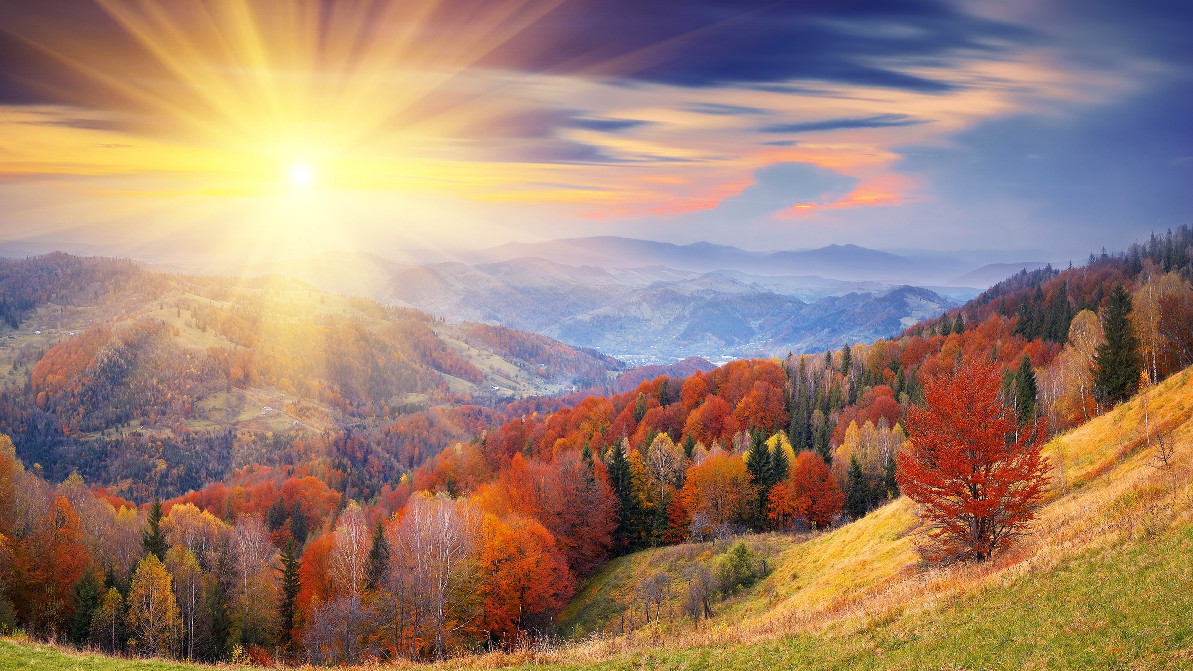 Autumn Season Hd Wallpapers