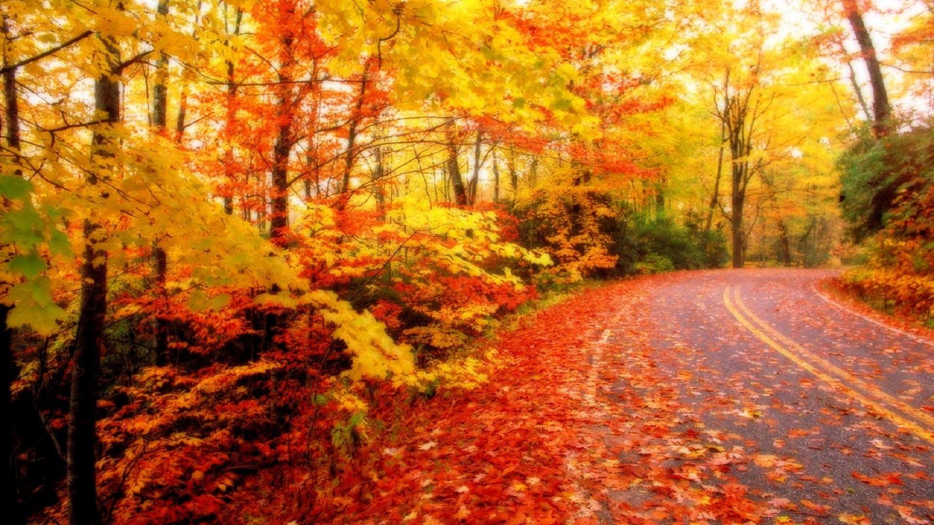 Autumn Season Hd Wallpapers