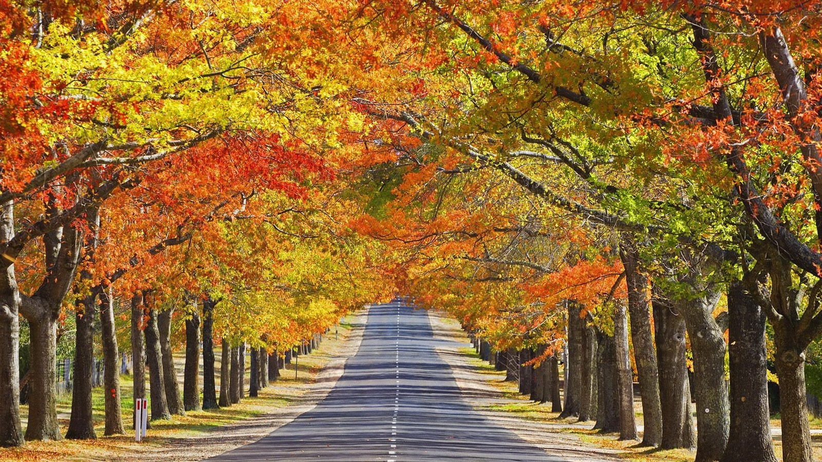 Autumn Season Hd Wallpapers