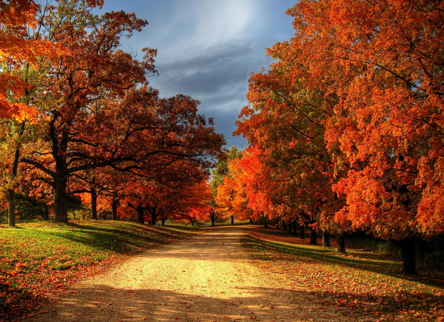 Autumn Season Hd Wallpapers