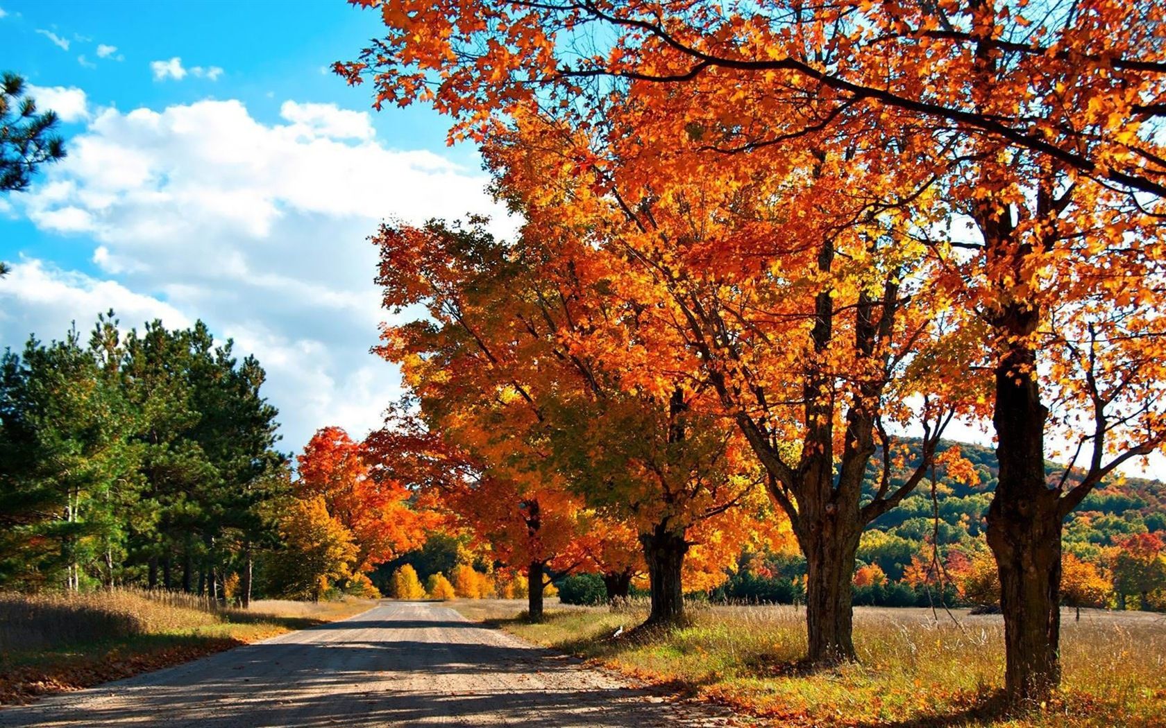 Autumn Season Hd Wallpapers