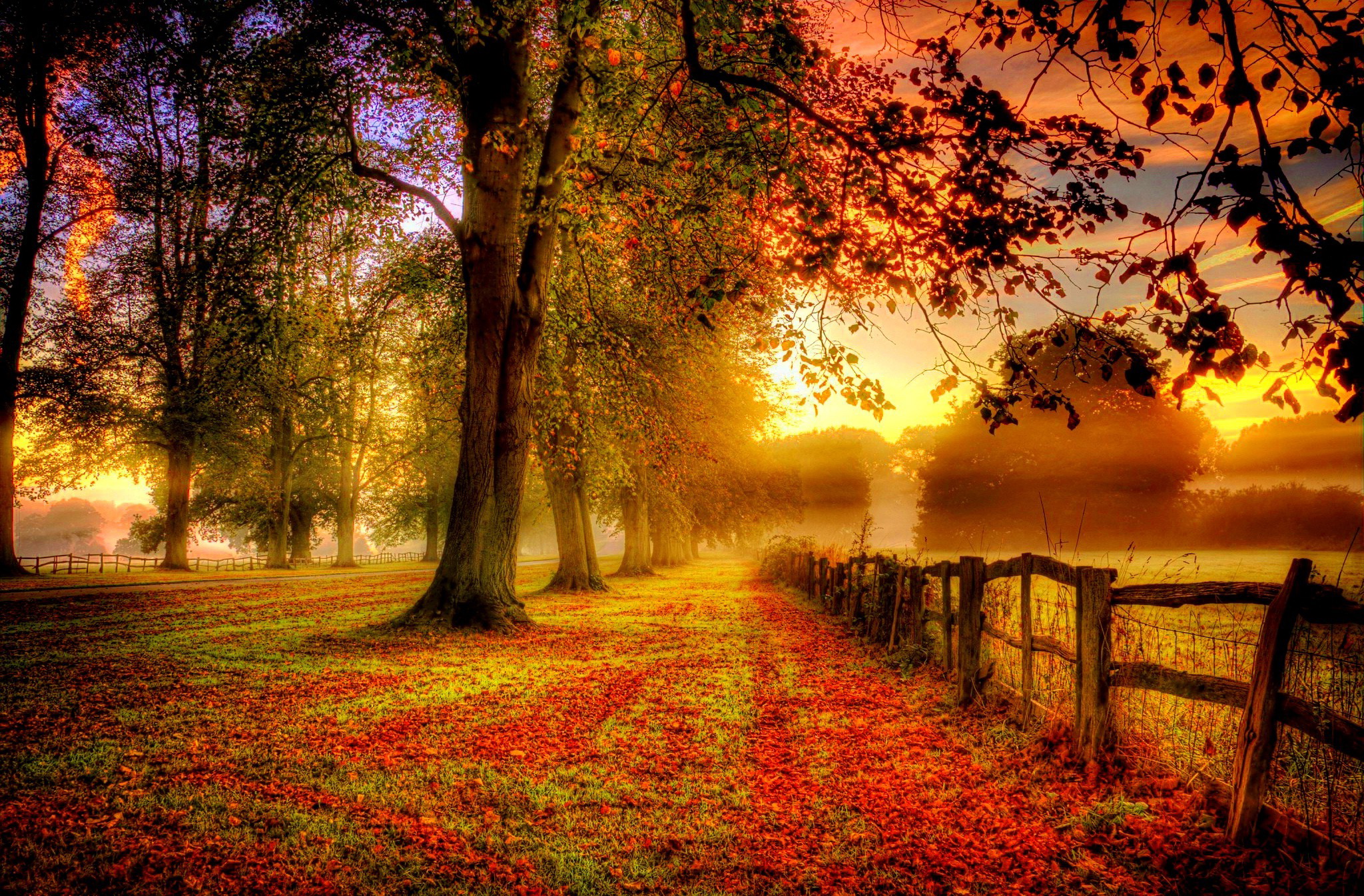 Autumn Season Hd Wallpapers