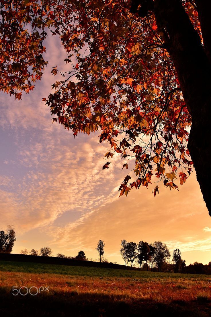 Autumn Sky Wallpapers