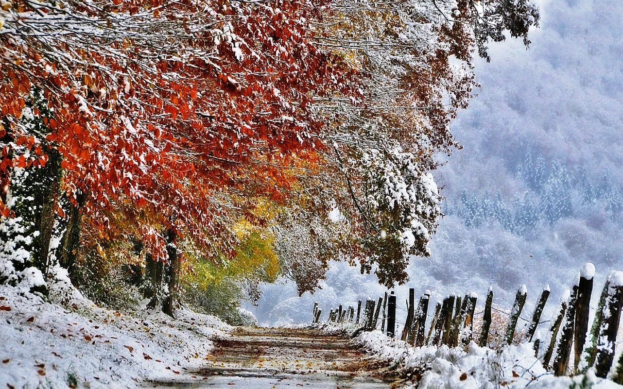 Autumn Snowfall Wallpapers